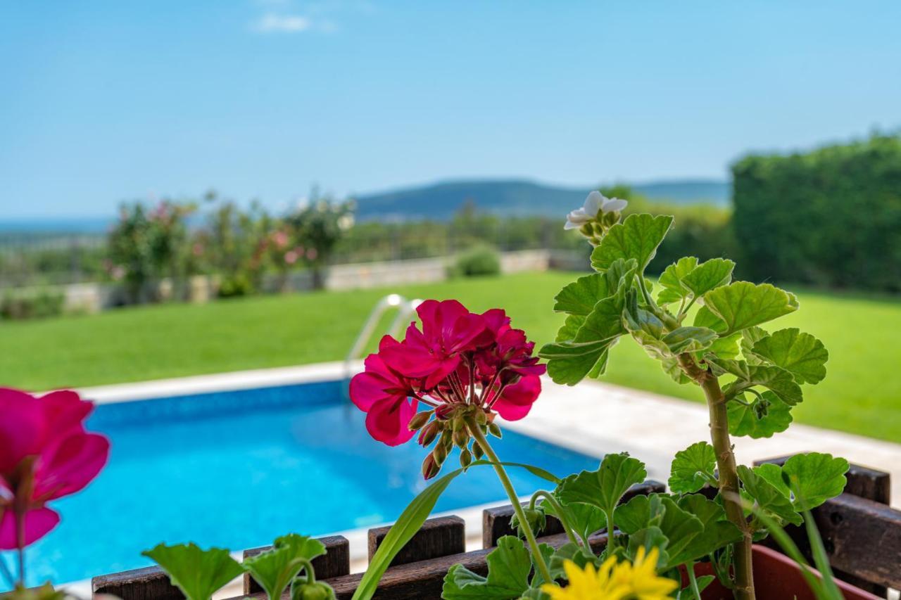 Villa Poemia Rogachevo Exteriör bild